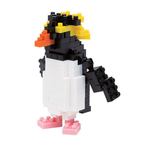 Rockhopper Penguin NBC 135