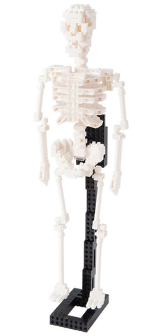 nanoblock Human Skeleton NBM 014