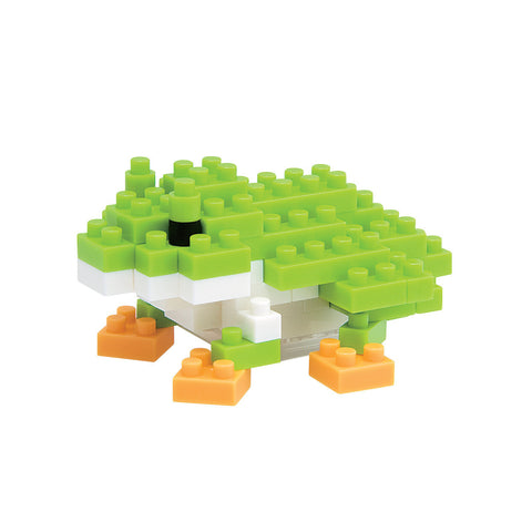 Japanese Tree Frog NBC 007