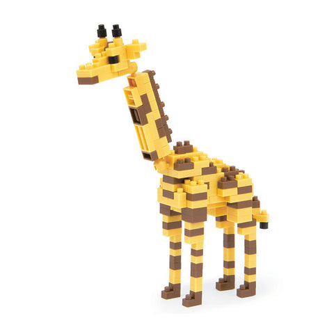 Giraffe NBC 094