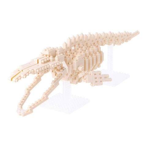 nanoblock Blue Whale Skeleton NBM 010